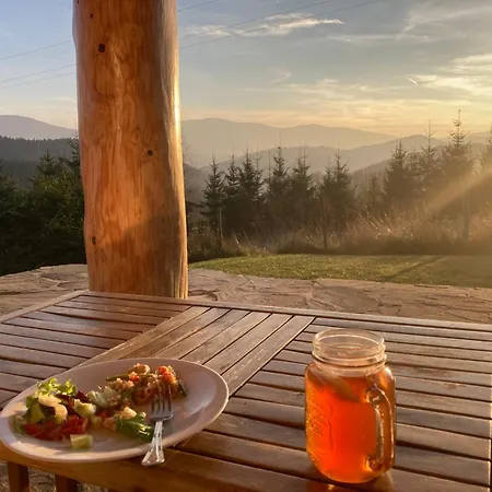 Osada Beskidzka Dağ evi *