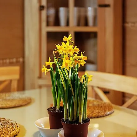 シャレー Osada Beskidzka *