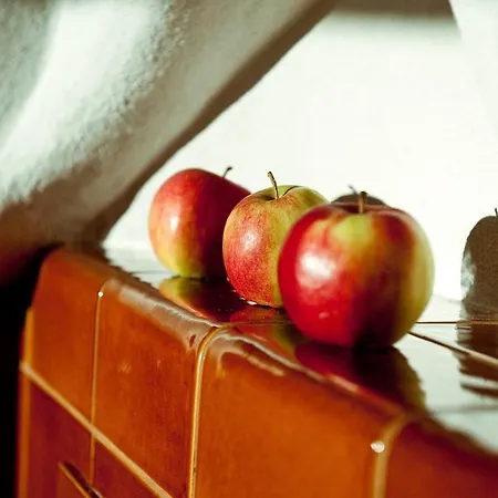 シャレー Osada Beskidzka *